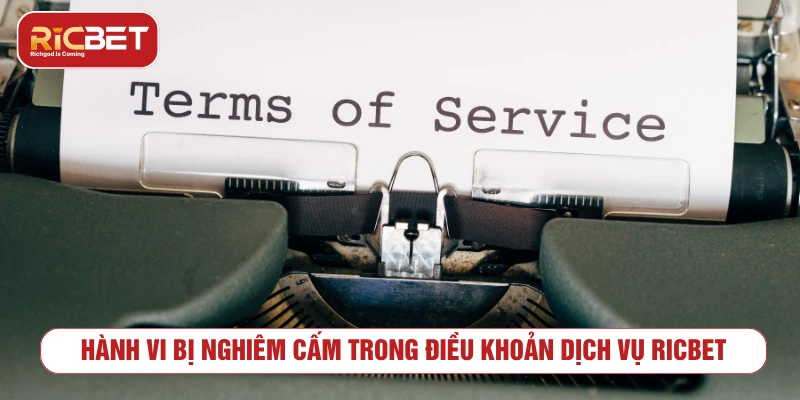 Hành vi bị nghiêm cấm trong điều khoản dịch vụ RICBET
