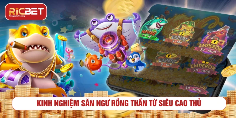Kinh nghiệm săn ngư rồng thần từ siêu cao thủ