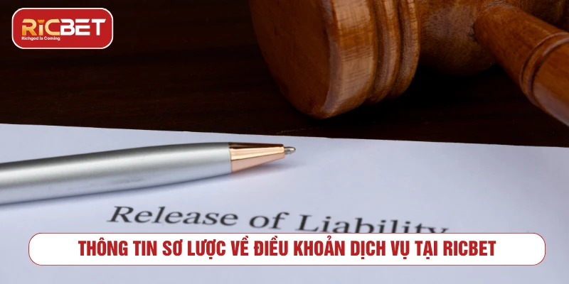 Thông tin sơ lược về điều khoản dịch vụ tại RICBET