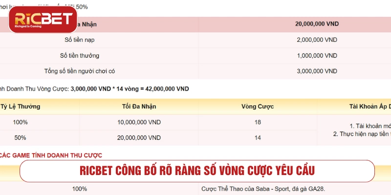 Khuyến mãi RICBET có yêu cầu vòng cược không? RICBET công bố rõ ràng số vòng cược yêu cầu